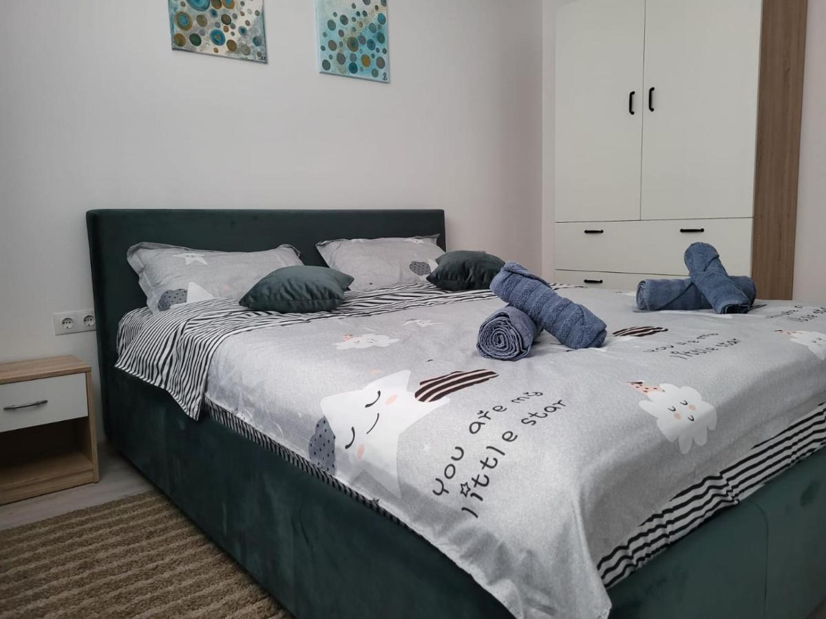 Sibiu 1848 Apartment المظهر الخارجي الصورة